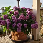 Bed & Breakfast La Casa Di Martina Zambrone