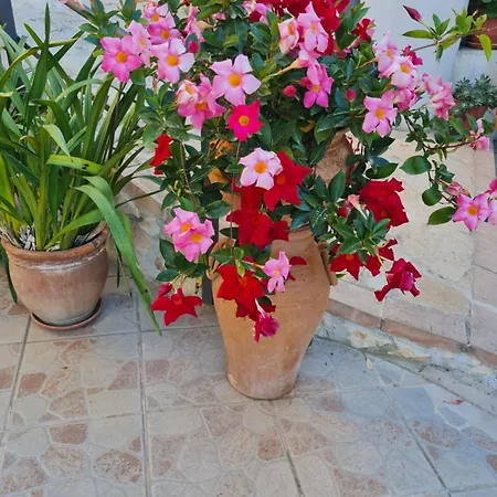 La Casa Di Martina Nocleg ze śniadaniem