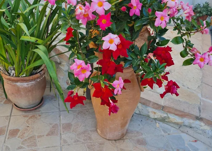 La Casa Di Martina Bed & Breakfast